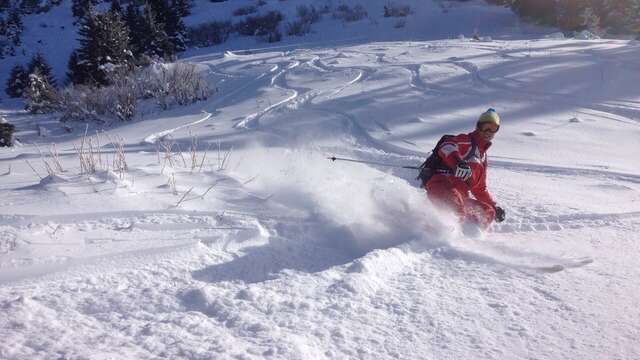 Cours de ski et snowboard: Leçons privées