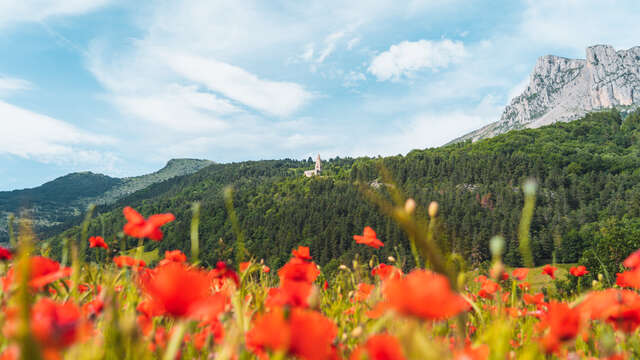 Festival Musique en Dévoluy fête ses 40 ans