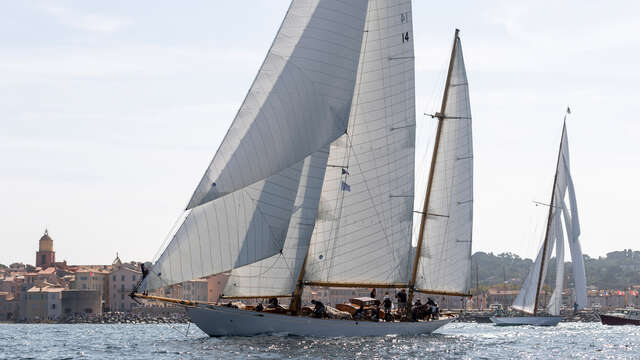 Les Voiles de Saint-Tropez