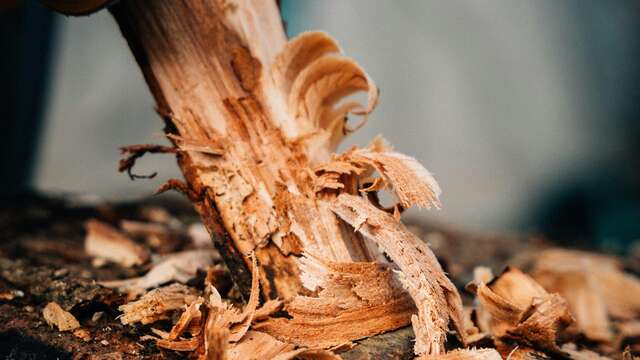 Atelier sculpture de noel