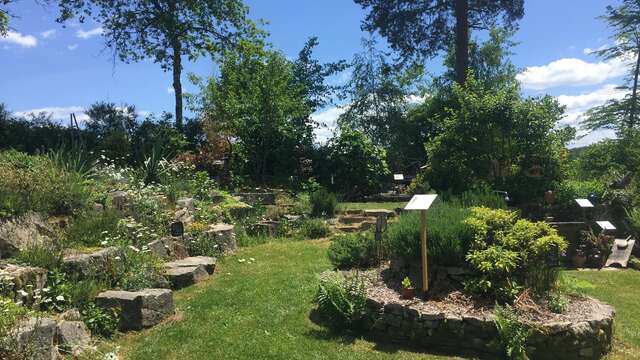 Ethnobotanical garden "Once upon a time... a storyteller garden"