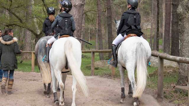 Balades à cheval et à poney