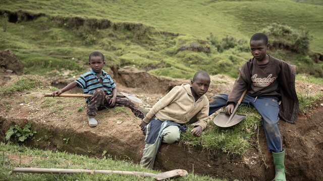 Cinéma : Le Sang et la Boue