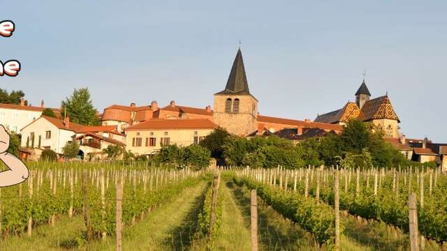 Baludik - La disparition de la cuvée d'Ambierle