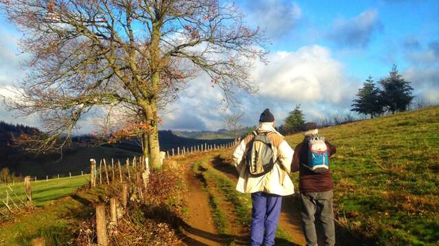 Sentier Les pèlerins