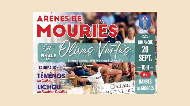 Camargue bull race: Green Olives Final