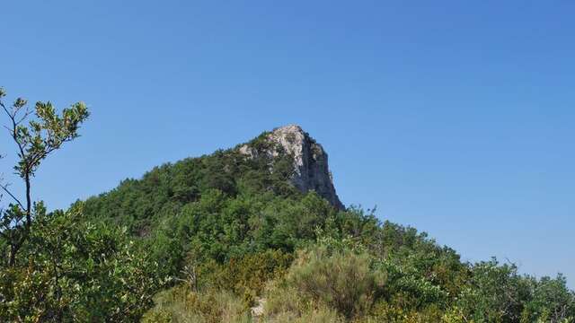 La Montagne du Risou