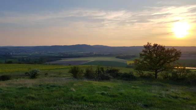 Les Randonnées coucher de soleil - Coteaux du Puy Saint-Jean