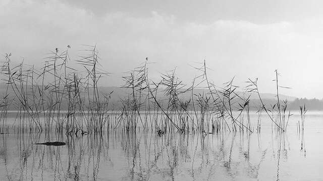 Exposition : APAX nouvelles images - Valérie Gaillard