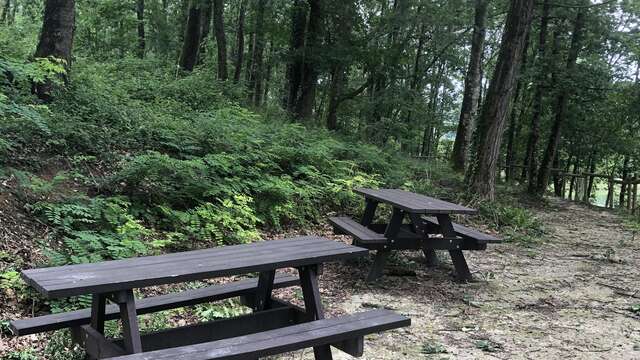 Pedestrian walkway picnic area