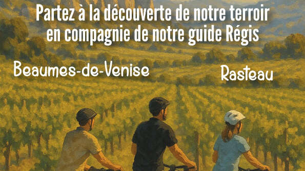 Electric mountain bike ride in the vineyard and tasting - Rhonéa