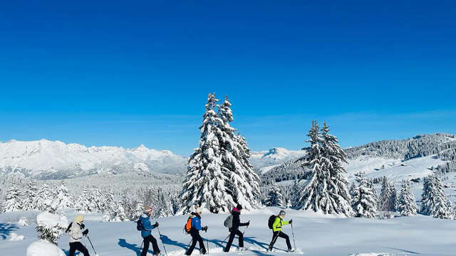 Circuit la petite Laponie