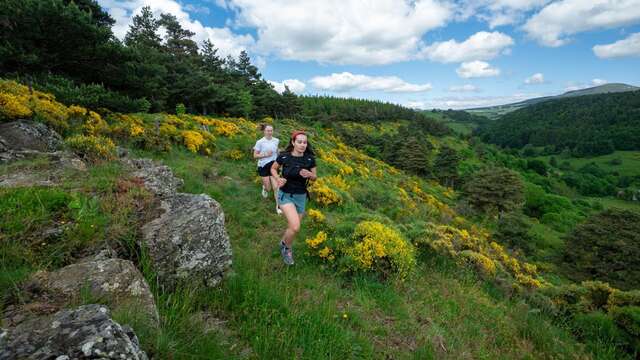 T14 - Les hauts du Monastier