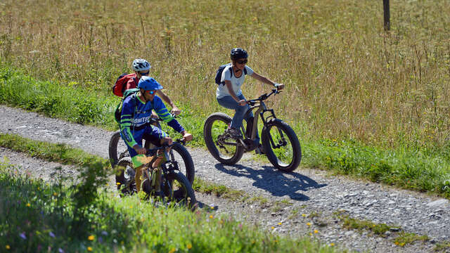 La Route des Chalets FFC n°66