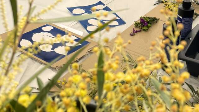 ATELIER : Impressions végétales au cyanotype