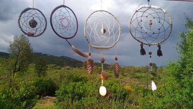 Children's Wednesdays - Forest workshops