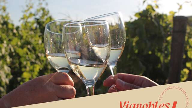 Visite et dégustation - Cave de Tain - Vignobles en scène