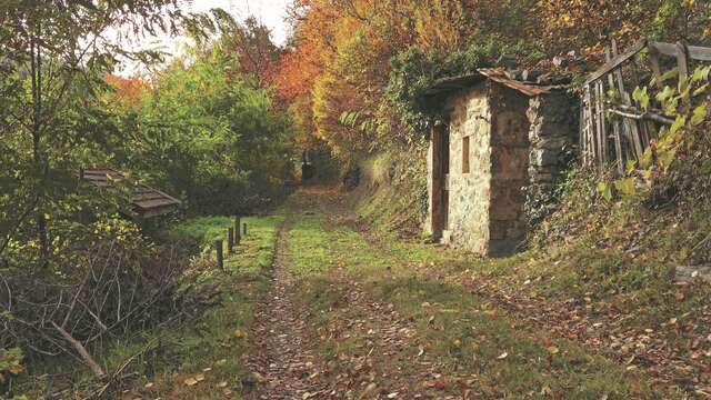 Circuit pédestre du balcon de Combeloup - 3h30 - Départ St-Nizier d'Uriage