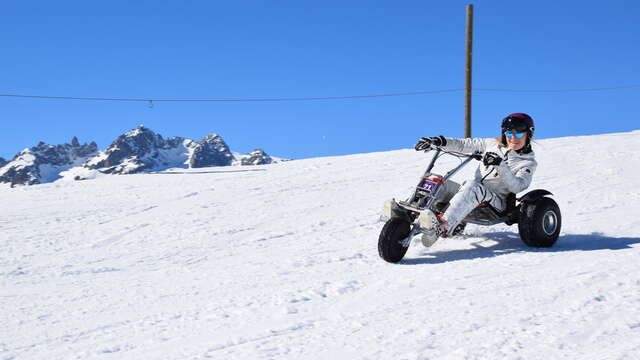 Mountain kart