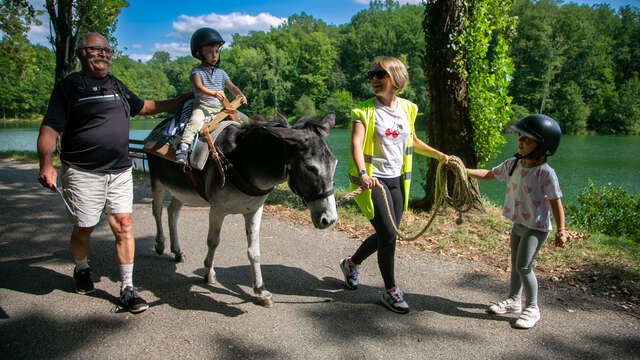 "Balade autour du lac" avec les ânes de Bon'âne-Venture