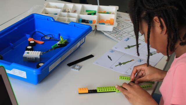 Brick robotics. Workshop for girls