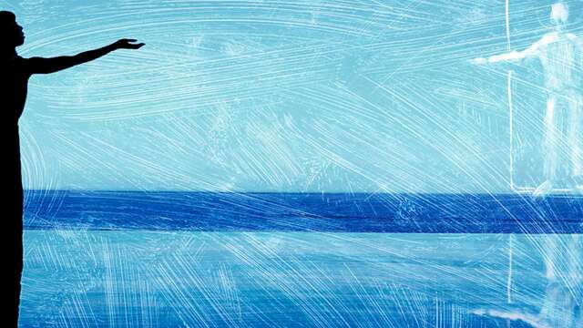 Pas croisés - Ballets de Monte-Carlo