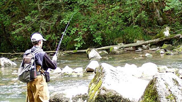 Parcours pêche, Le Brevon à Vailly