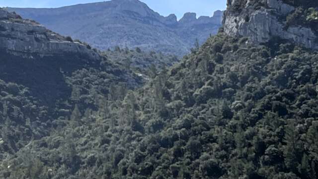 Sur la piste du loup dans le Ravin des Encanaux - Journée