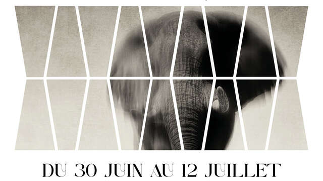 Exhibition : Anne-Marie ETIENNE