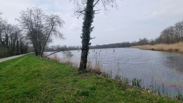Balade de Lent - Veyle et Etangs