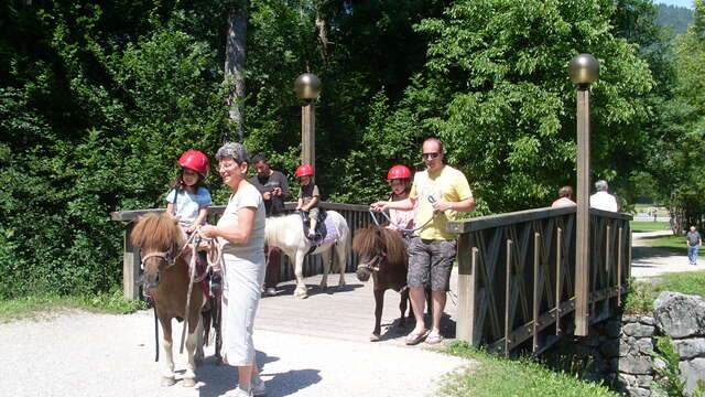Balades à poney