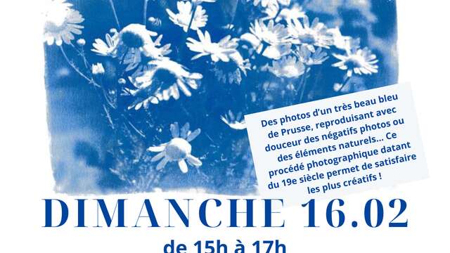 Atelier créatif: le Cyanotype ou procédé au Bleu de Prusse