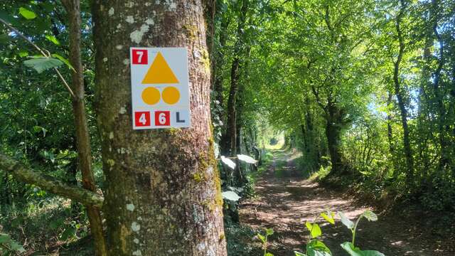 Circuit VTT-VTC n°6 (rouge) Chemins des bois de Bresse