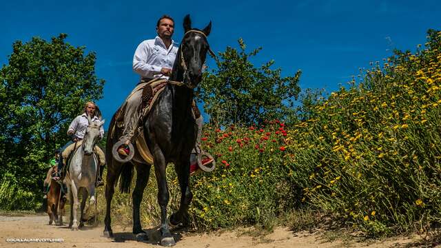 Rando vigneronne à cheval