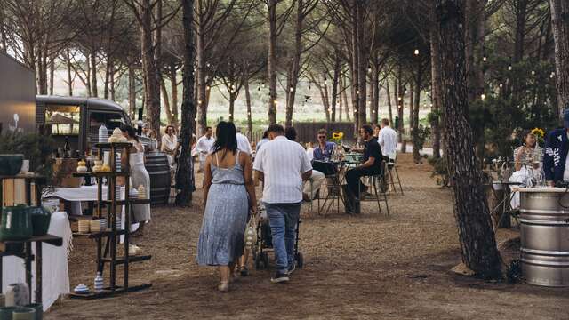 Sunset Market - Domaine Fondugues-Pradugues