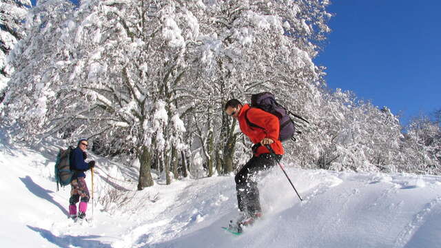 La balade des p’tits loups