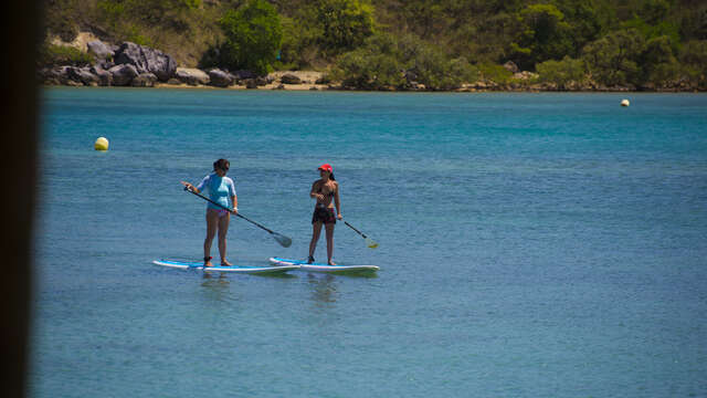 Nouméa Sup School