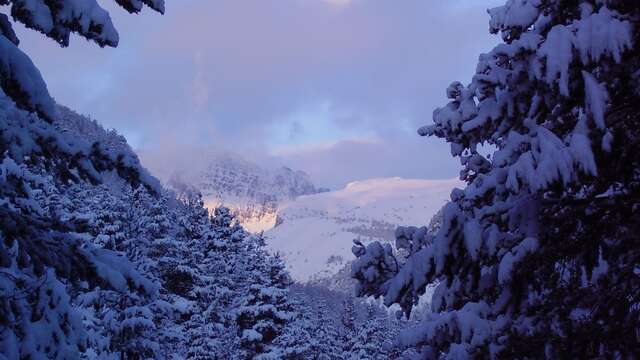 Snowshoeing with the Mercantour guides