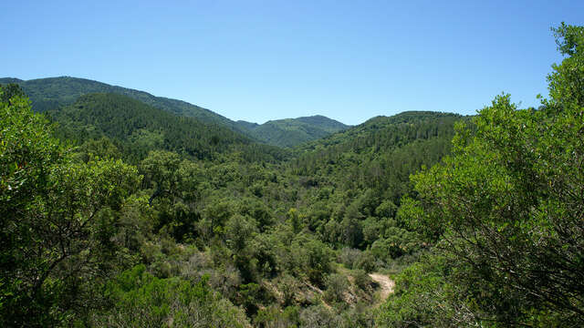 Randonnée nature & patrimoine commentée "A la découverte du Decauville"