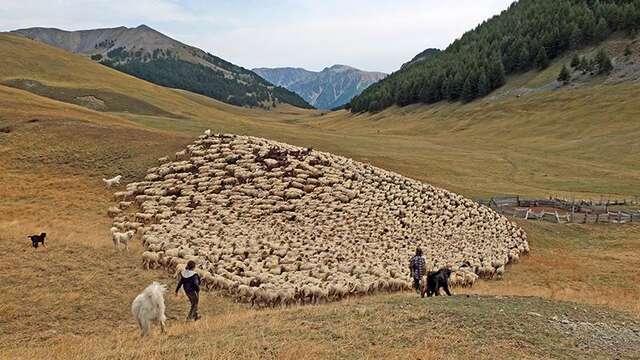 Repas et soirée sur le pastoralisme