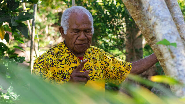 Visit of the Mr Kaloi Cawidrone vanilla plantation