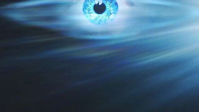 Cinéma : Disclosure Day