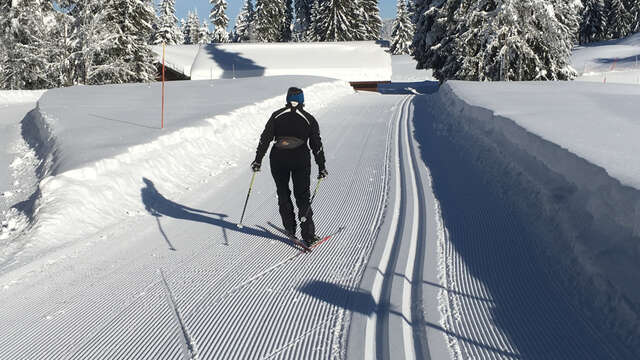 Stage de ski de fond