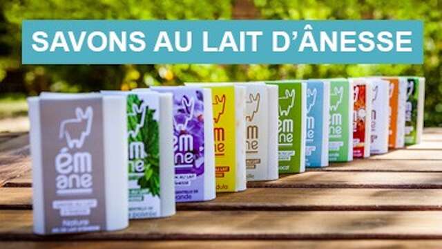 Tienda Ém'ane, cría de burros