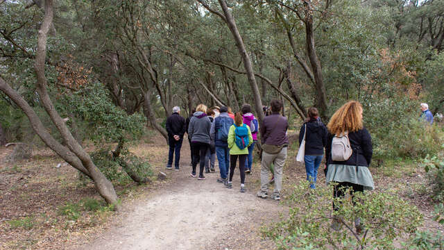 Éco-balade : De la Chênaie de Lavalduc vers les Salins de Rassuen