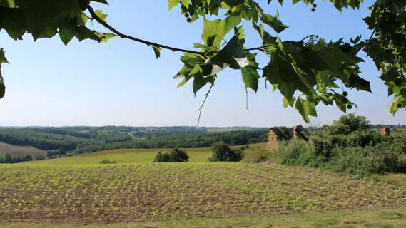 Point de vue de Puylauron