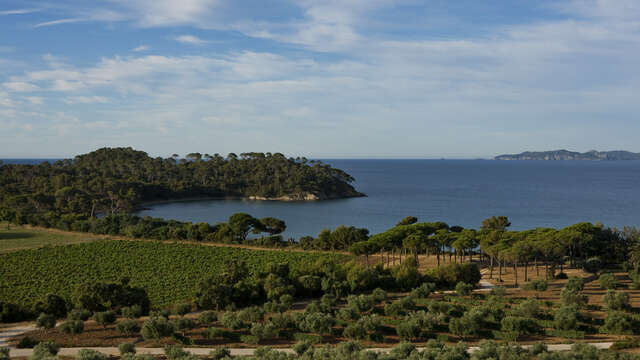 Château Léoube