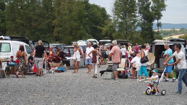 Puces marcellinoises