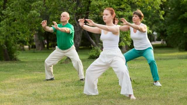 Qi Gong at the Bamboo grove of Sulauze