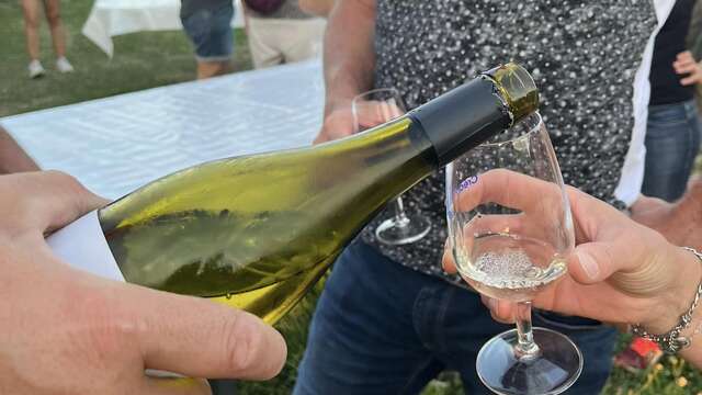 Apéro-vigne au Domaine Brenier